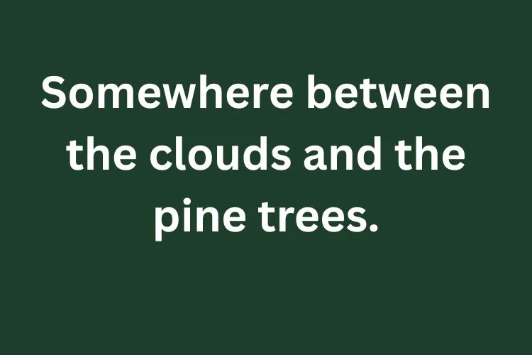 Best Baguio Captions for Instagram