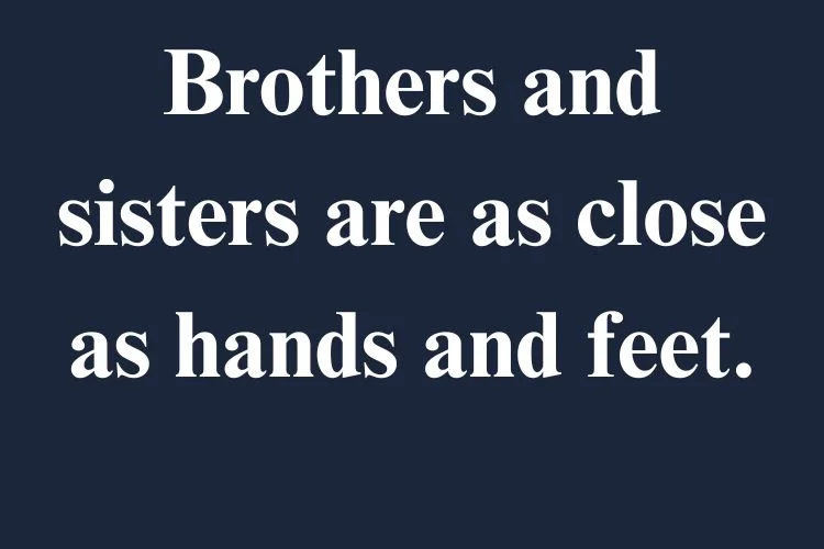 Brother Sister Captions with Lyrics and Famous Quotes