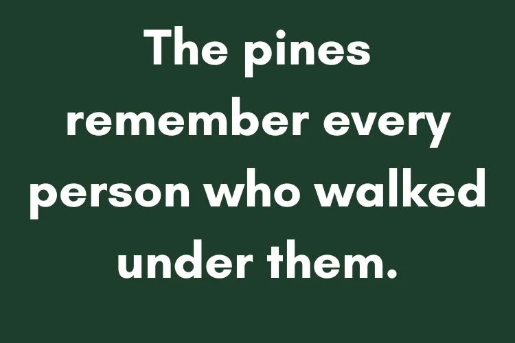 Unique & Creative Baguio Captions