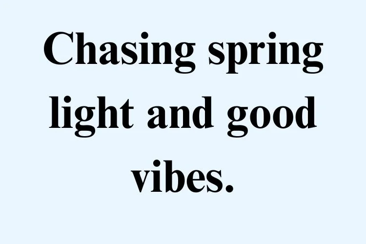 April Captions for Instagram