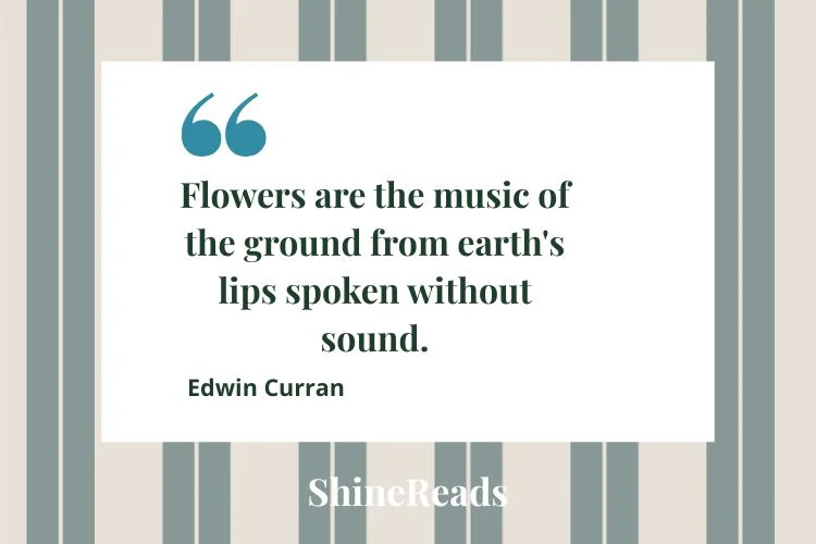 Beautiful Spring Flower Quotes