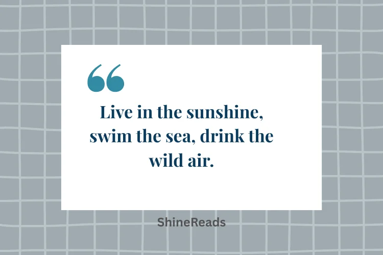Best Summer Quotes