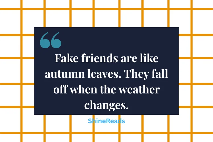 Fake Friends Quotes