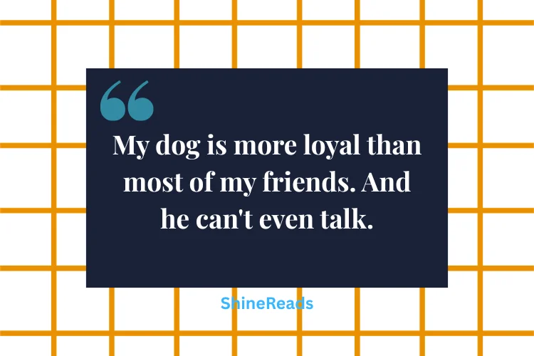 Funny Fake Friends Quotes