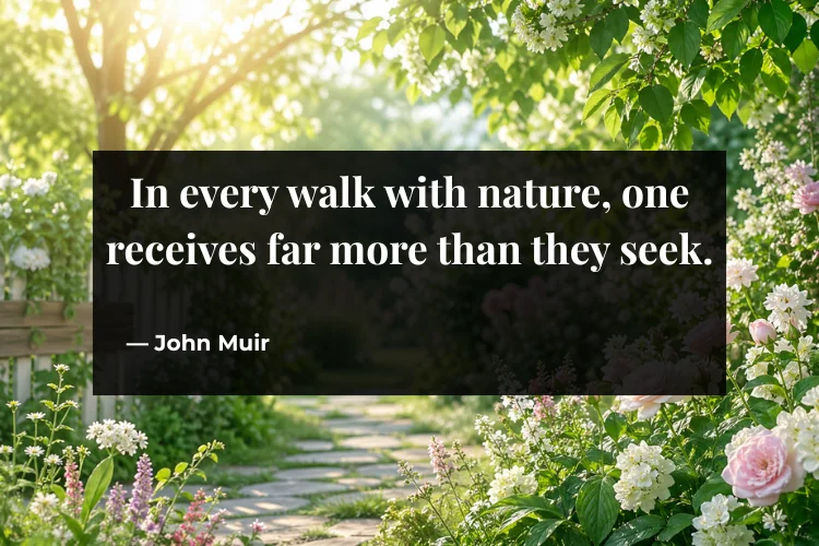 Aesthetic Nature & Flower Quotes