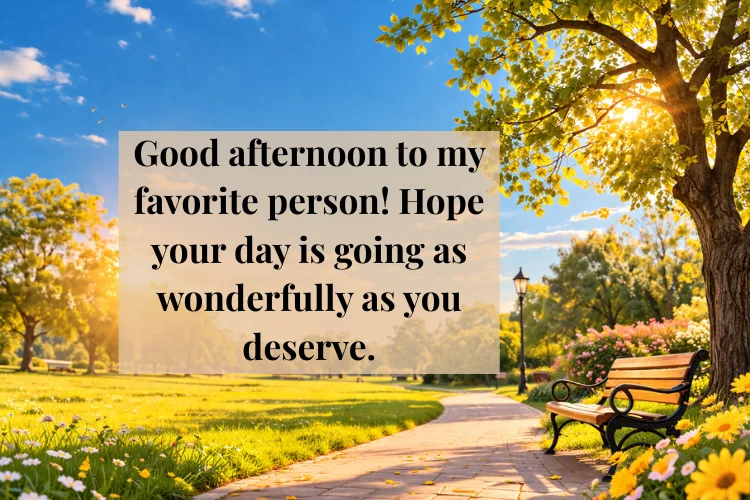 Heartwarming Good Afternoon Messages for Friends and Family