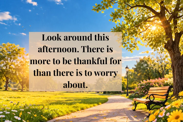 Beautiful Afternoon Quotes About Life and Gratitude