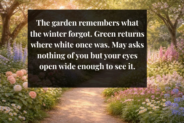 Beautiful May Poems and Sayings