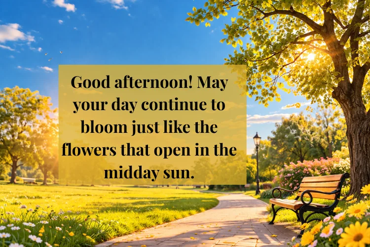 Best Good Afternoon Quotes for Positivity and Happiness