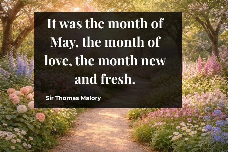 Famous Quotes About May