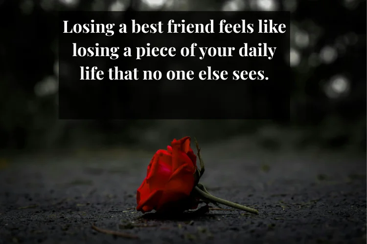 Friendship Breakup Quotes for Platonic Heartache