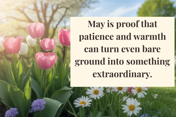 Inspirational May Quotes