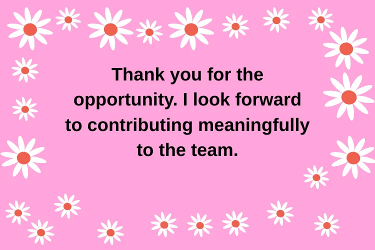 Professional Thank You Messages (Work and Business)