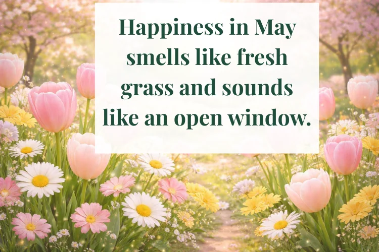 Quotes About Happiness in May