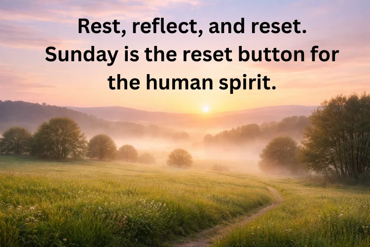 Self-Care Sunday Quotes for Mind & Soul