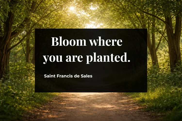 Short New Month Quotes and Sayings