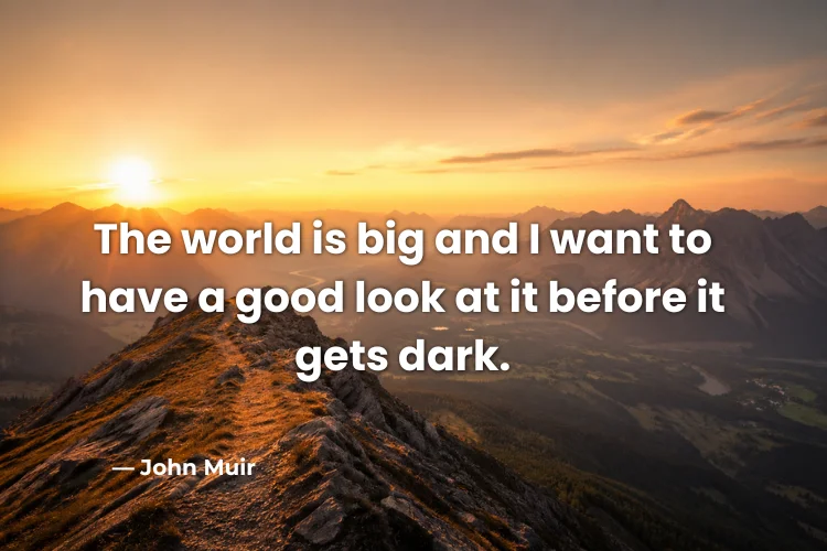Travel Quotes About Life & Perspective