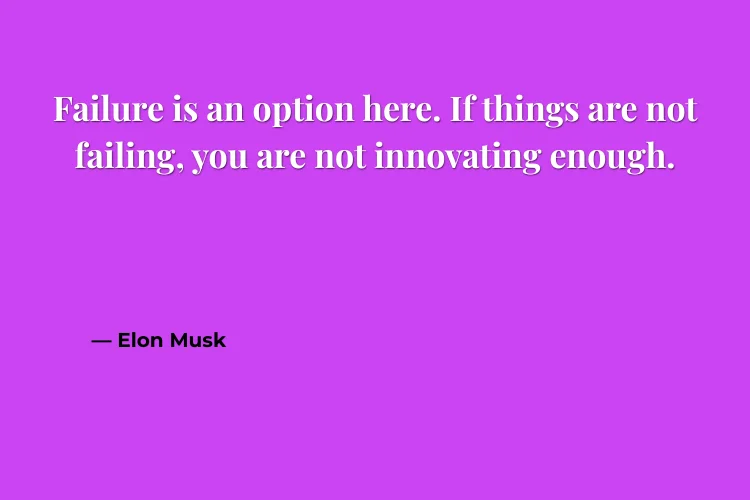 Elon Musk Quotes on Risk-Taking & Failure