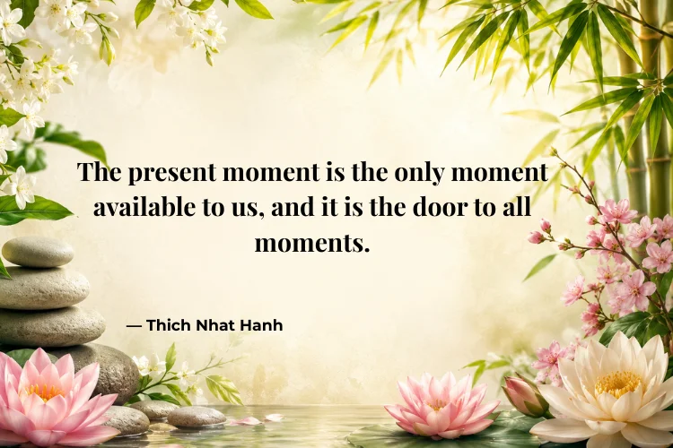 Positive Peace Quotes for Daily Motivation