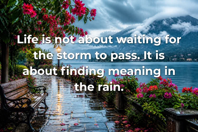 Rain Quotes About Life & Meaning
