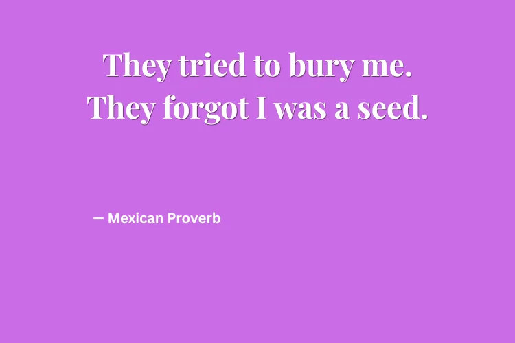 Savage Revenge Quotes with Strong Attitude