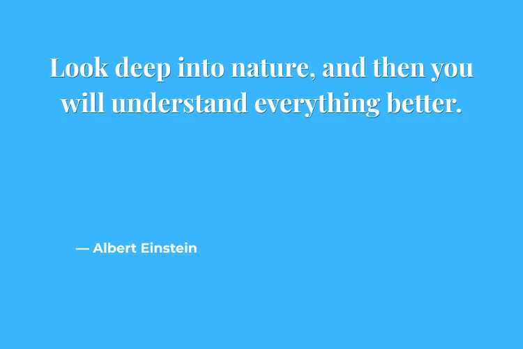 Simplicity Quotes About Nature & Slow Living